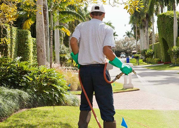 About Flushing NY Pest Control Pros